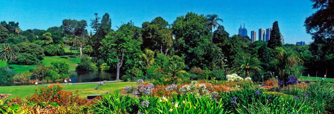 Royal Botanic Gardens , Melbourne  HalalTrip