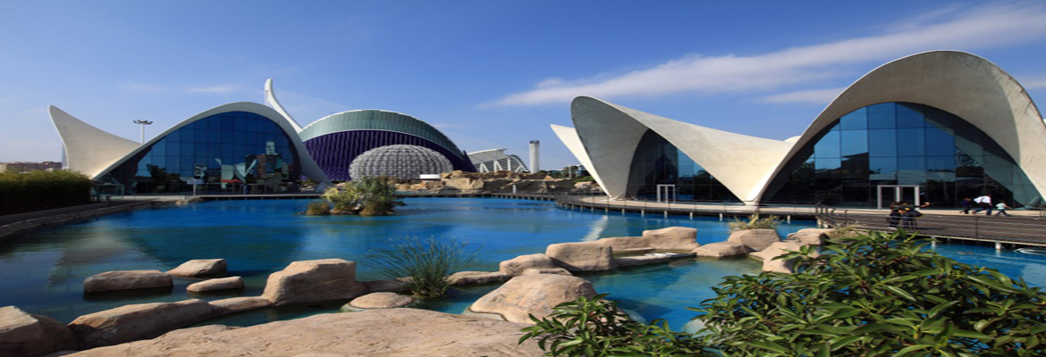 The Oceanografic , Valencia | Halal Trip
