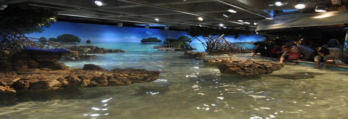 New England Aquarium , Boston | Halal Trip