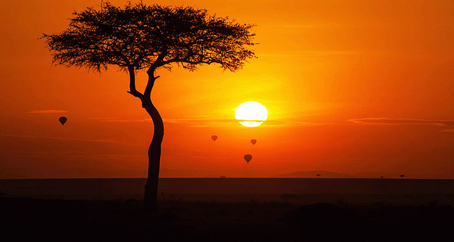 5 Top Places for a Safari