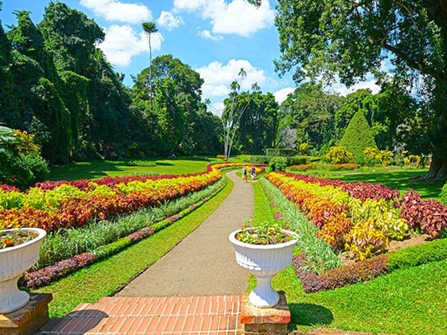 5 Reasons Why a Trip to Sri Lanka's Peradeniya Botanic Gardens is Worth it!