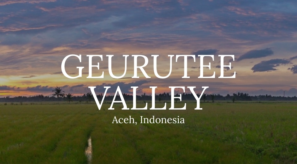 Enjoy Your Coffee With Breath-Taking Scenery From Geurutee Valley In Aceh, Indonesia