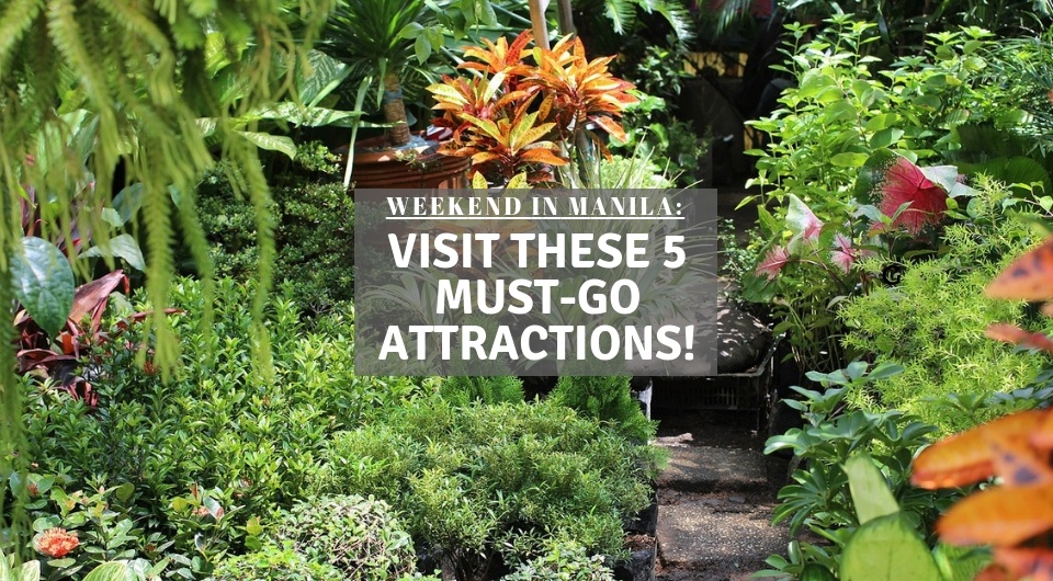 Weekend In Manila: Have An Unforgettable Getaway By Visiting These 5 Must-Go Attractions