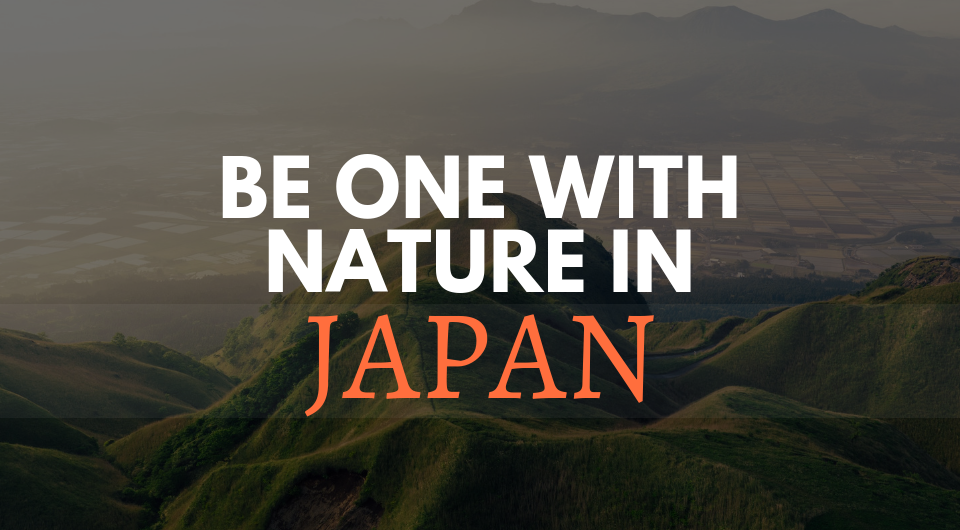 Explore Japan On A Whole New Different Level! Nature Junkies, This Is For You!