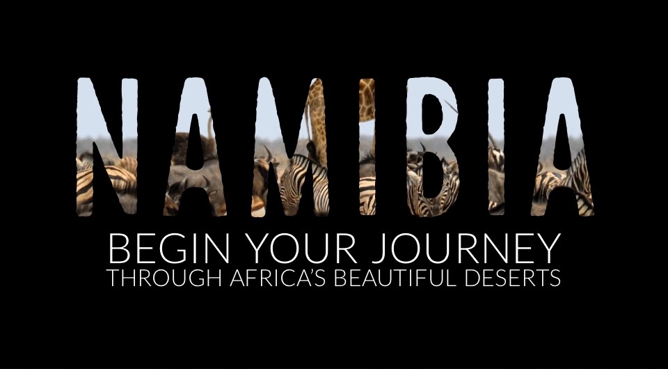 Surround Yourself With Wildlife & Thread Through Africa’s Beautiful Deserts in Namibia, South Africa