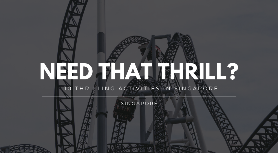 Craving For That Thrill? Here Are 10 Most Thrilling Activities You Can Do In Singapore 
