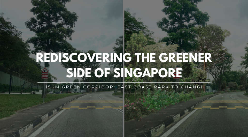 Rediscovering the Greener Side: East Coast Park - Changi Beach Park Green Corridor