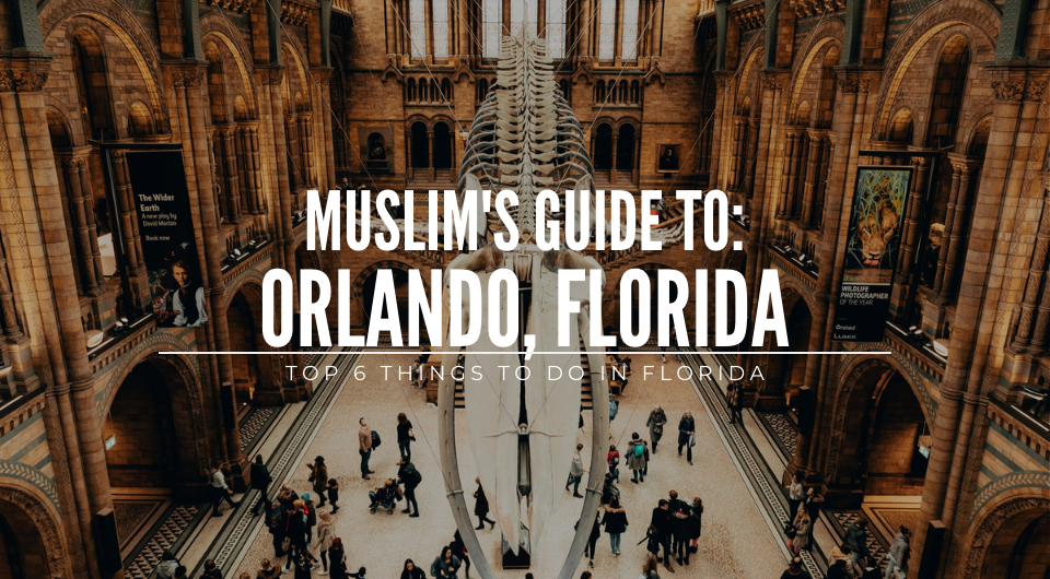 Muslim’s Guide to Orlando: Top 6 Things to Do