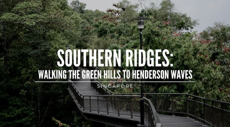 Southern Ridges: Walking the Green Hills to the Henderson Waves