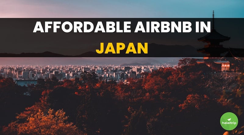 Explore These Affordable & Interesting Airbnbs in Japan!