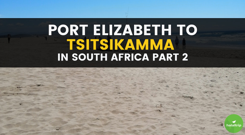 Port Elizabeth to Tsitsikamma In South Africa Part 2