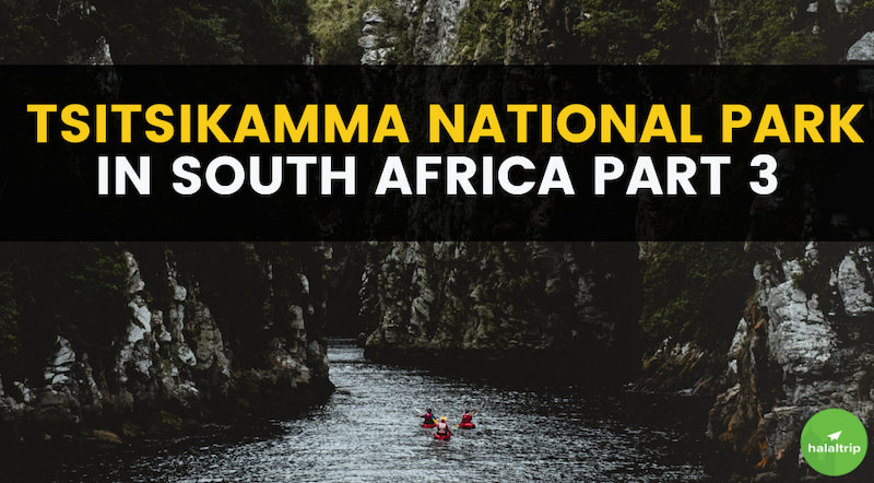 Tsitsitkamma National Park in South Africa Part 3