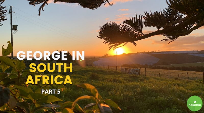  Amazing Places To Visit When You're In George In South Africa. 