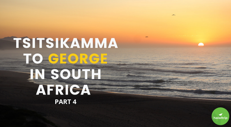 The Journey from Tsitsitkamma to George in South Africa