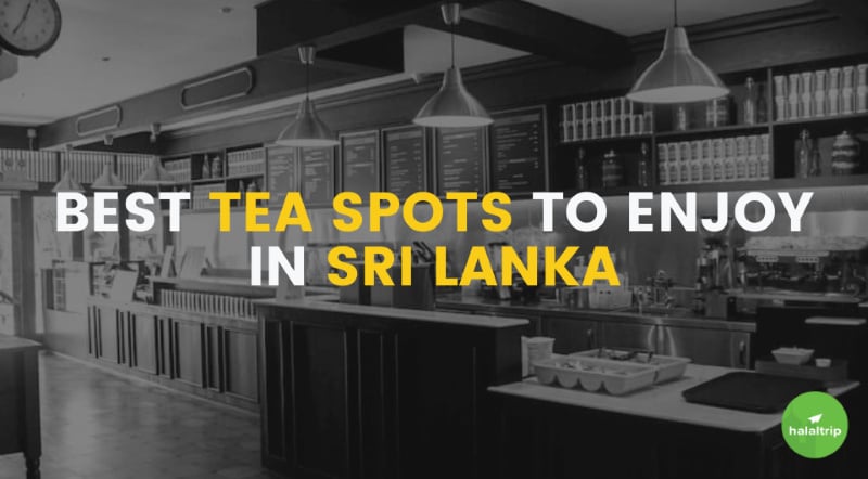 Best Tea Spots To Enjoy In Sri Lanka