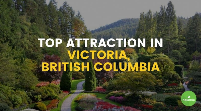 Top Attraction in Victoria, British Columbia (Canada)