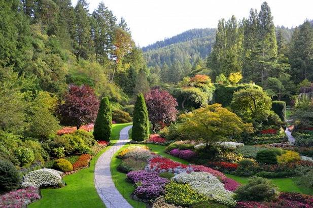 butchart gardens aerial view