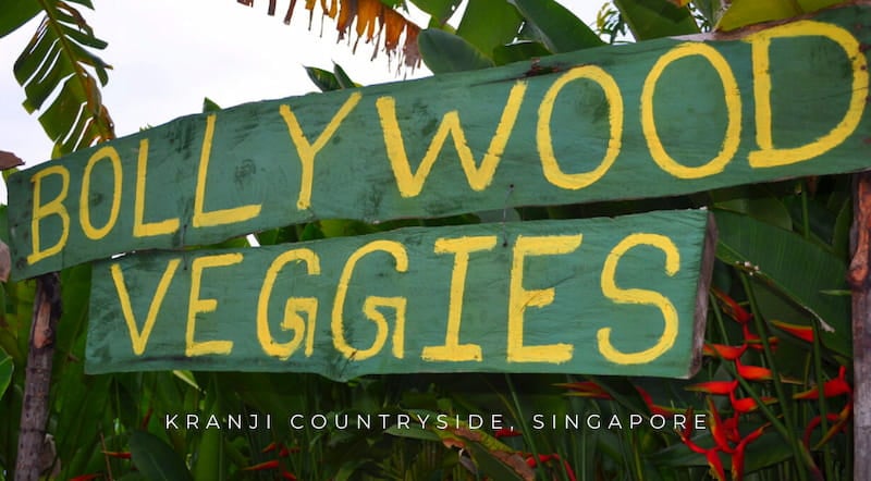 Bollywood Veggies: Singapore's Eccentric & Refreshing Paradise On Earth