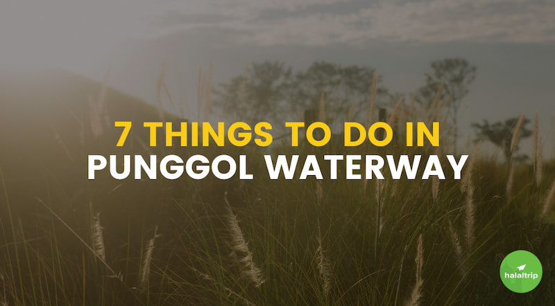 7 Things to Do in Punggol Waterway