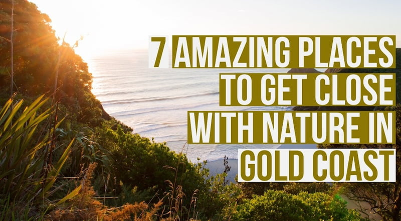 Be One With Nature In Gold Coast! 7 Places to Get Real Close to Nature in Gold Coast, Australia