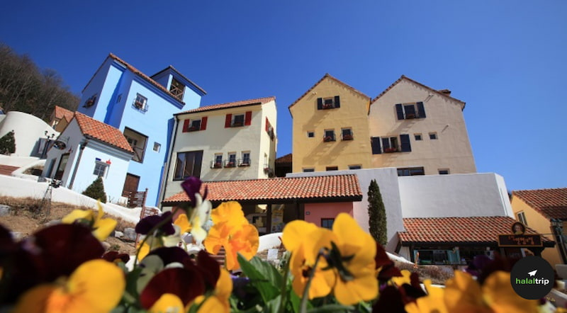 All You Need To Know About Petite France in South Korea