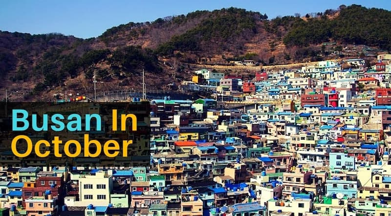 5 Things to Do in Busan in October 