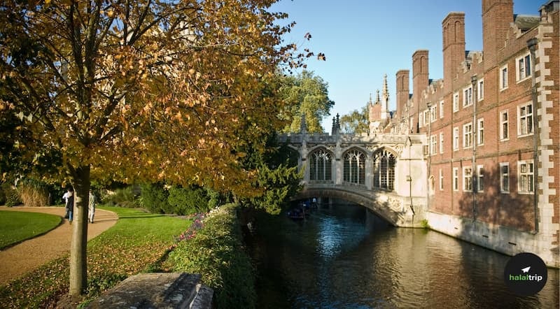 6 Best Western Cities to Study Abroad for Muslim Students
