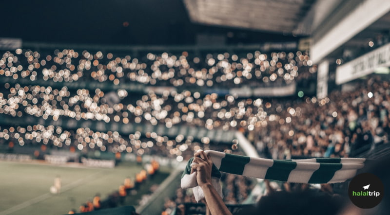 World Cup 2022: How To Be A Football Fan In Just 5 Mins