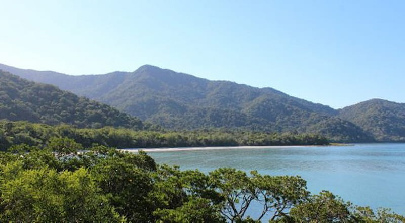 Do's and Don'ts when visiting a Rainforest