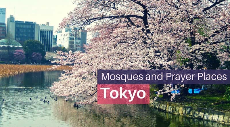 Find Mosques and Prayer Places in Tokyo