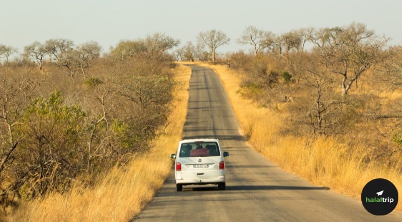 Kruger National Park with Kids