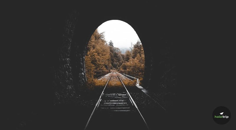 Top 5 Scenic Train Rides Around the World