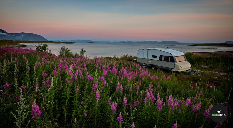 Why You Should Go Caravan Camping and the Best Places to Do It