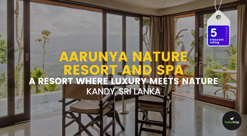 Aarunya Nature Resort and Spa | A Resort Where Luxury Meets Nature