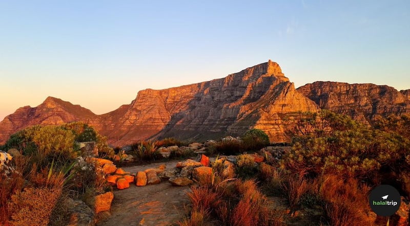 The Magnificent Table Mountain of South Africa