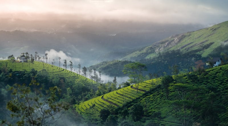 6 Best Things to Do in Kerala