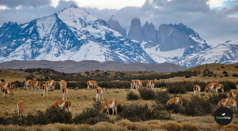 Exploring the Wonders of the World: Best National Parks for Nature Enthusiasts