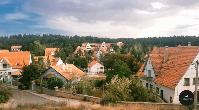 Ifrane Discover The Alpine Charm Of Morocco s Switzerland 