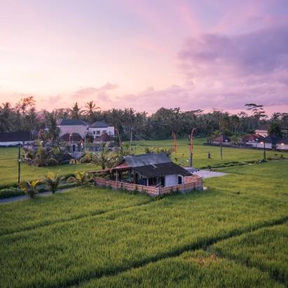 ubud in bali