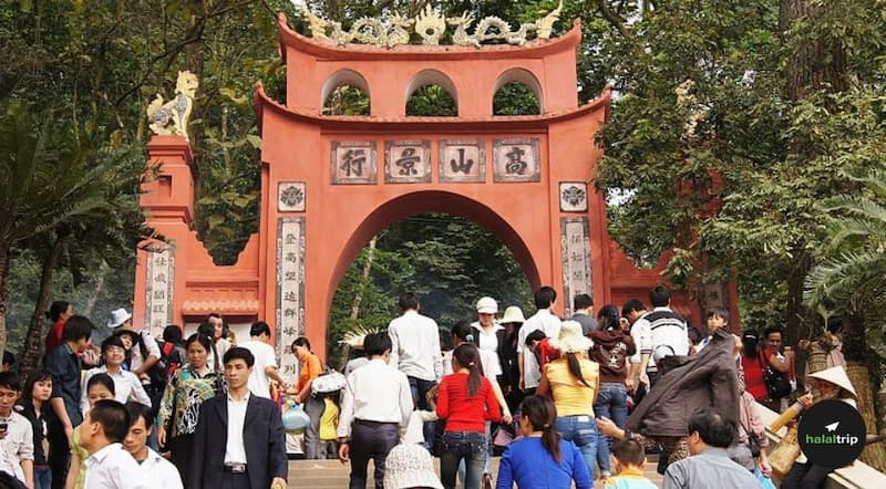 Cultural Odyssey: 8 Enchanting and Vibrant Festivals in Vietnam