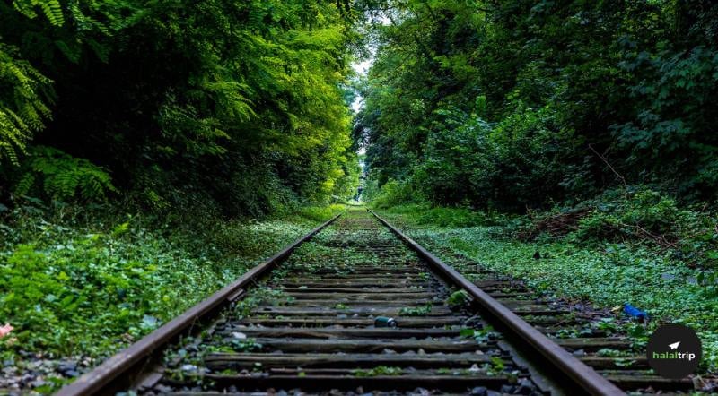 Journey Through Time: Riding the British Vulcan Steam Locomotive on the Historic North Borneo Railway