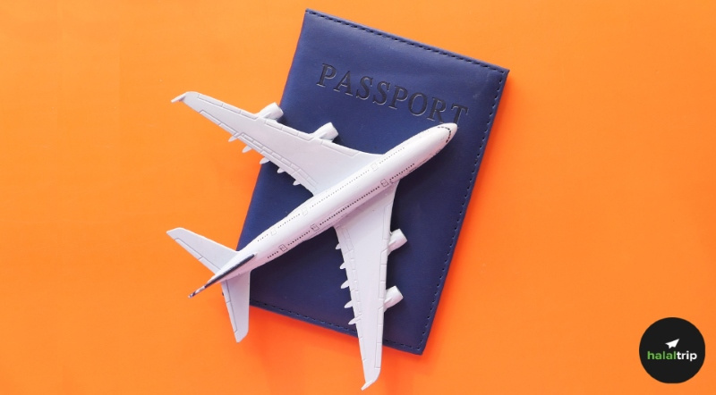 NEW INDONESIAN VISA RULES visual data 4