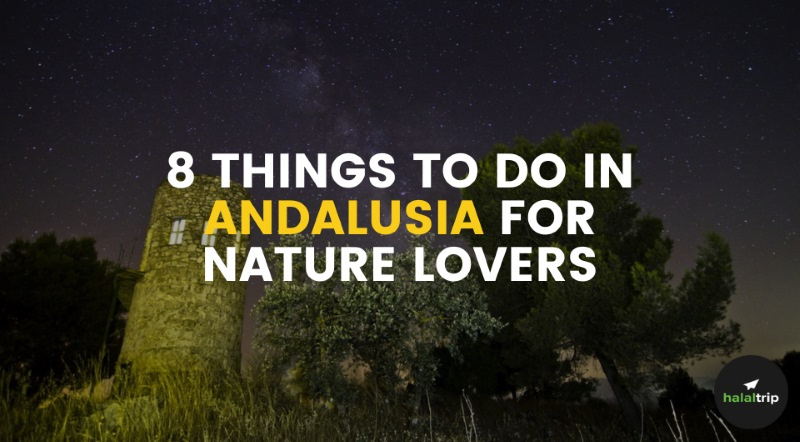 8 Things To Do in Andalusia for Nature Lovers