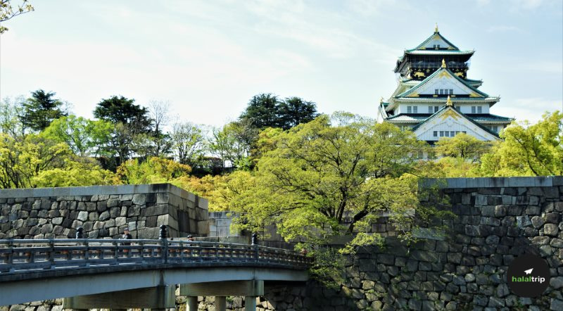 Top 5 Destinations for History & Culture Buffs
