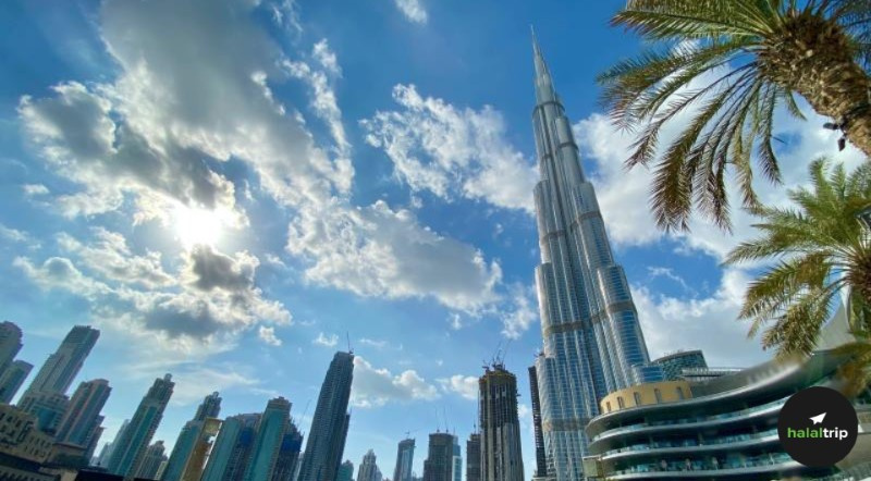Top 5 Attractions in the UAE in 2024