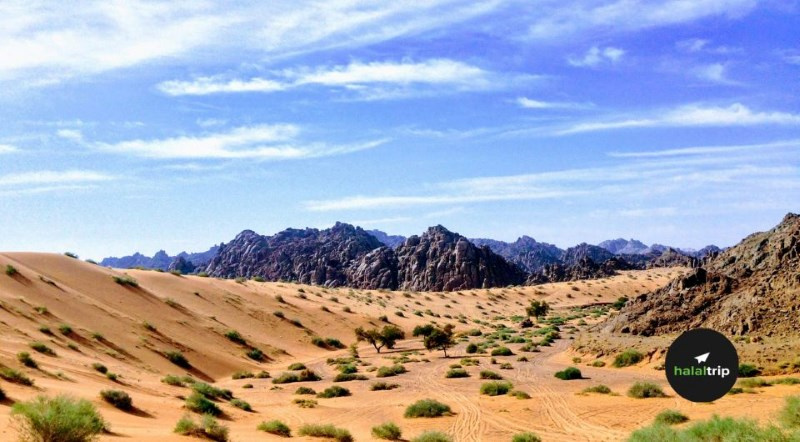 Exploring Saudi Arabia: Journey through Riyadh, Jeddah, Abha, Diriyah, and Taif