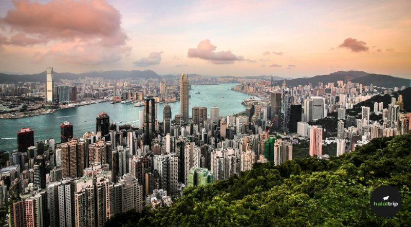 Discover Muslim-Friendly Hong Kong: A Top Halal Tourism Spot