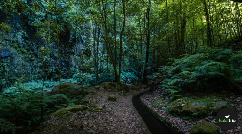 Top 5 Attractions in Portugal for Nature Lovers