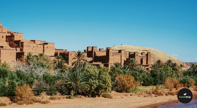 The Most Iconic Iftar Foods in Morocco