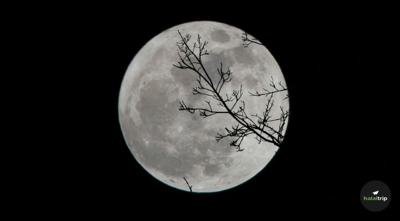 5 Things To Note When Trying To Catch Laylatul Qadr